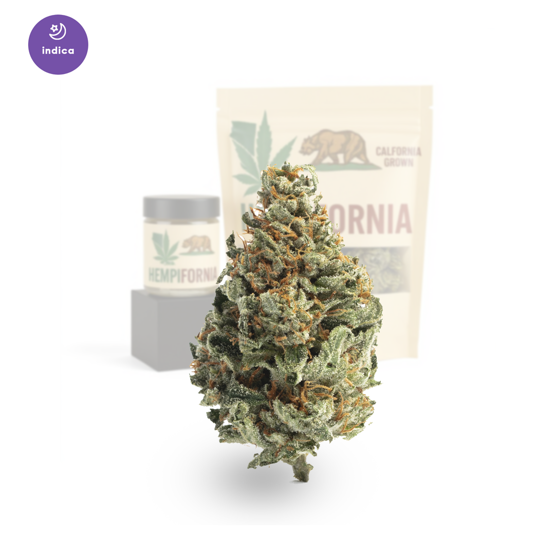 Coastal Kush