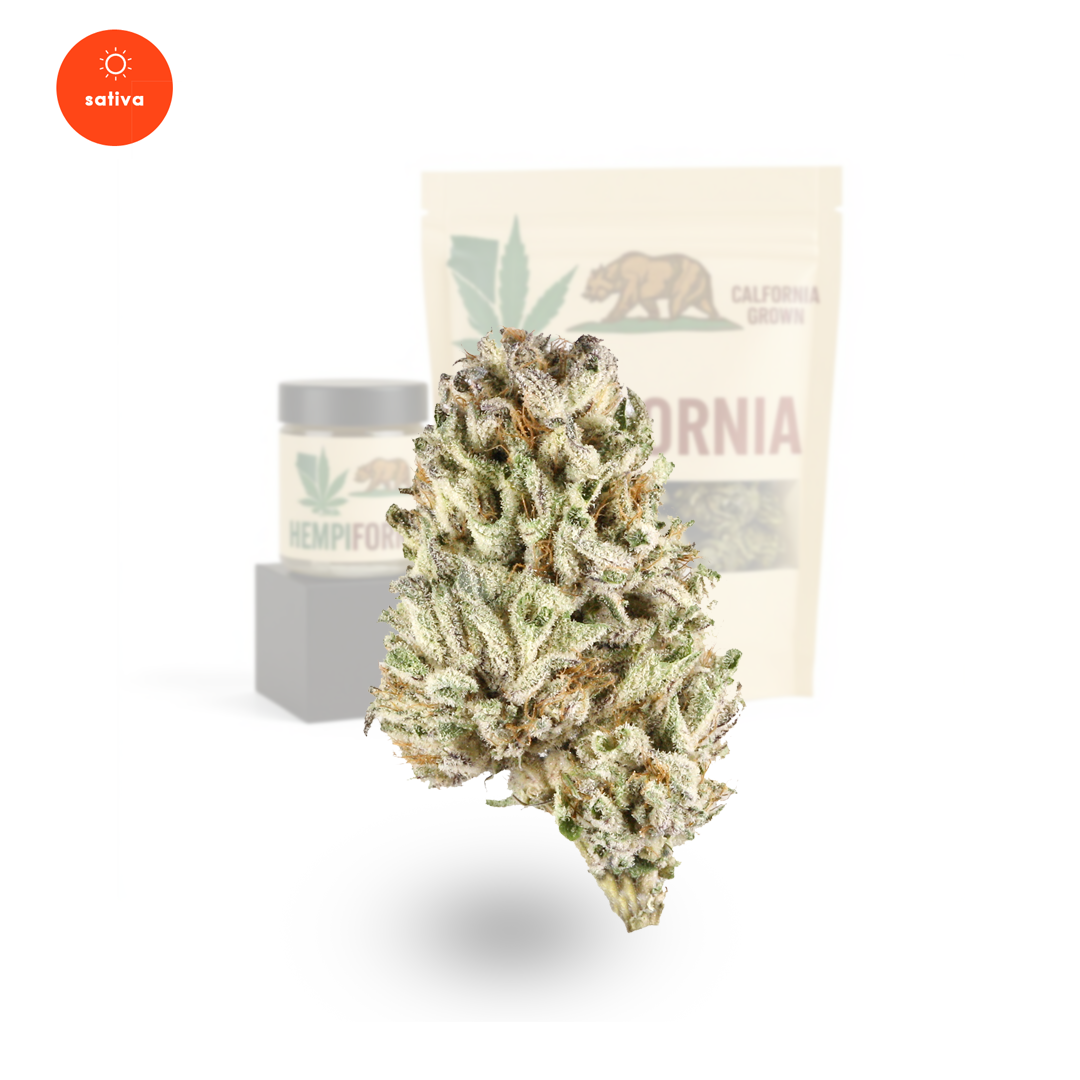 Hawaiian Haze